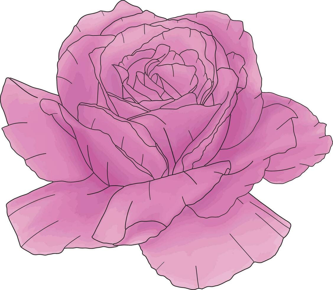 resumen línea Rosa flor son floreciente con color cuadro. vector