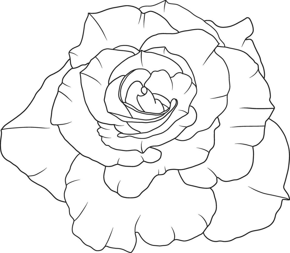 resumen línea Rosa flor son floreciente con color vacío antecedentes. vector