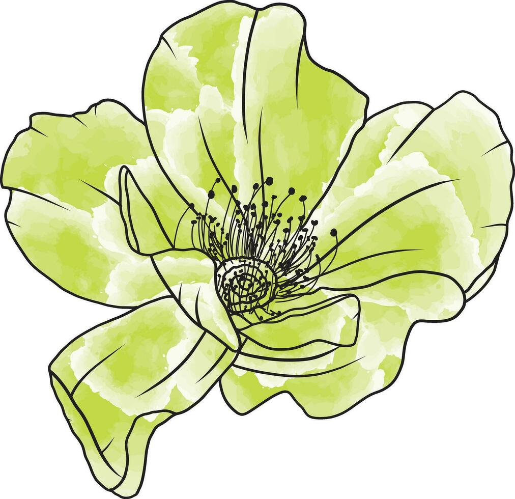 resumen línea Rosa flor son floreciente con suave verde color cuadro. vector