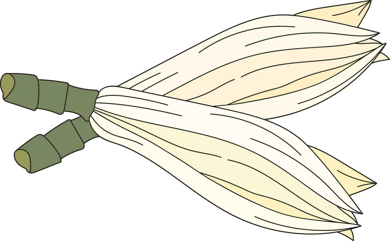 Abstract of chempaka flower on white background. vector