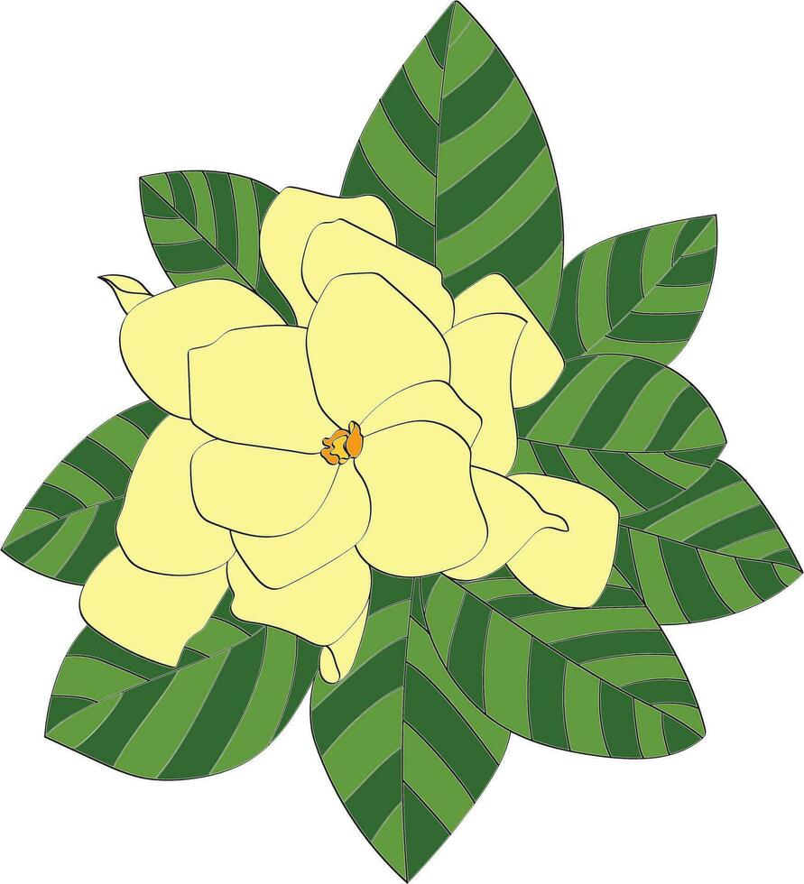 resumen de amarillo capa jazmín o gardenia flor con hoja. vector