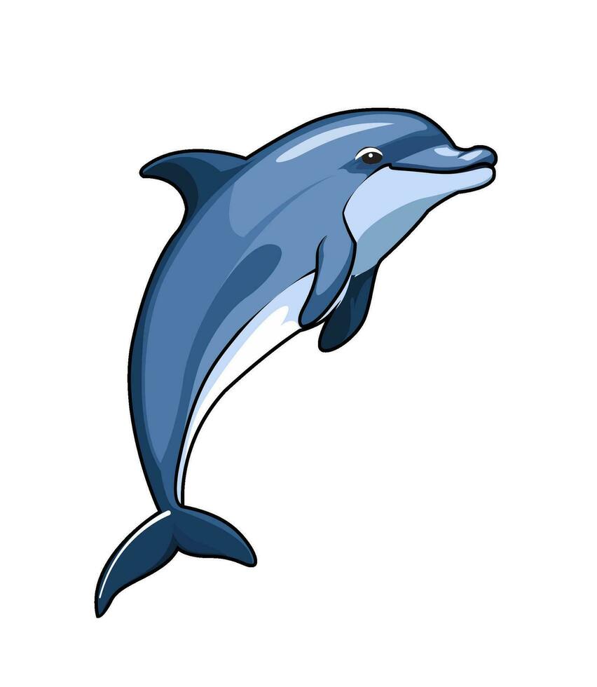 illustration of a cute dolphin jumping vector