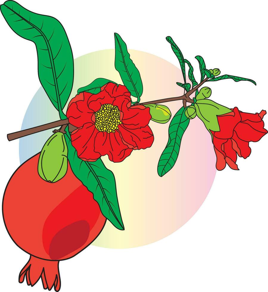 resumen de granada , punica manzana y flor con hojas en circulo color antecedentes. vector