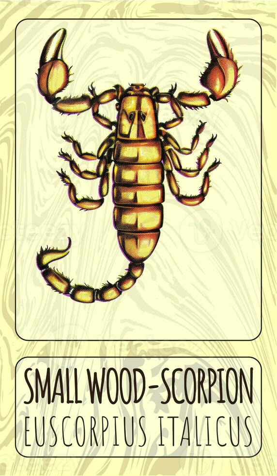 AI generated Color illustration of SMALL WOOD-SCORPION or in Latin EUSCORPIUS ITALICUS. Generative AI. photo