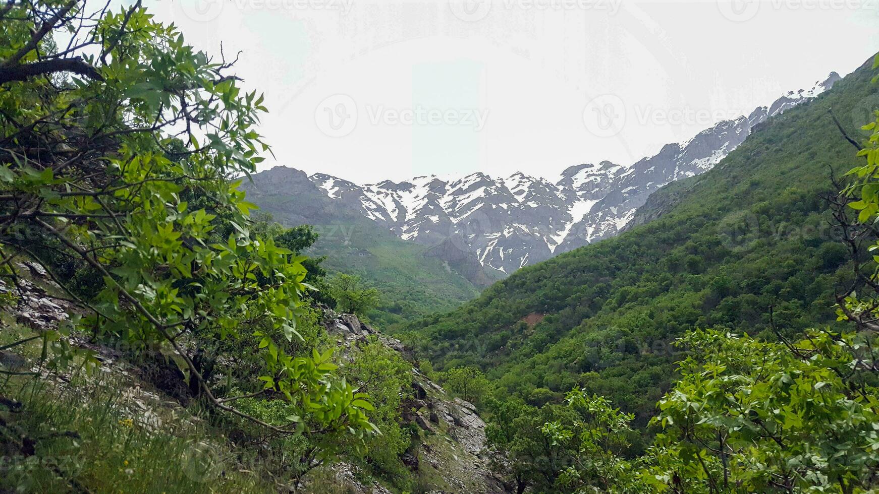 Kurdistán naturaleza Irak foto