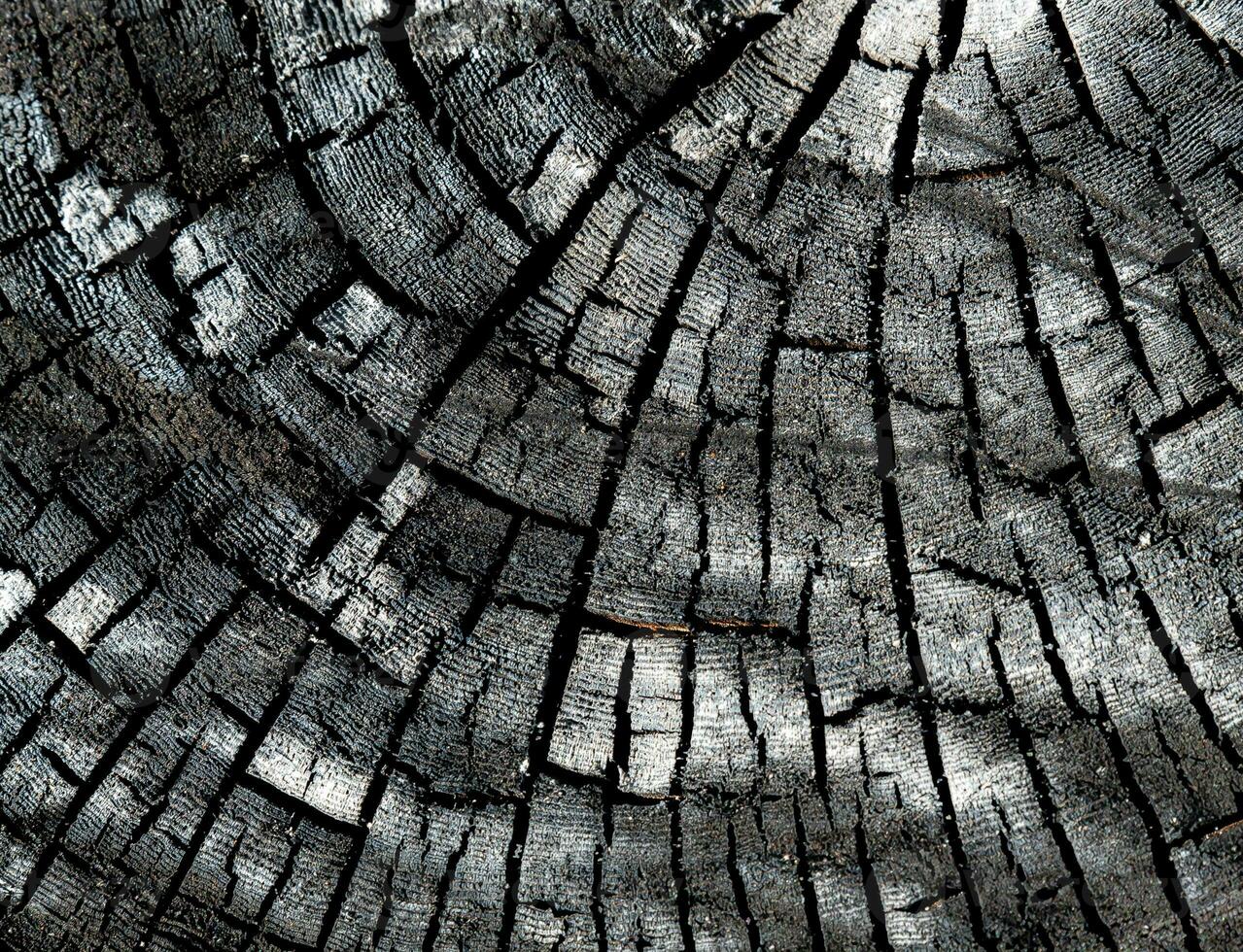 A beautiful wood pattern backdrop that can be used for a variety of purposes. photo
