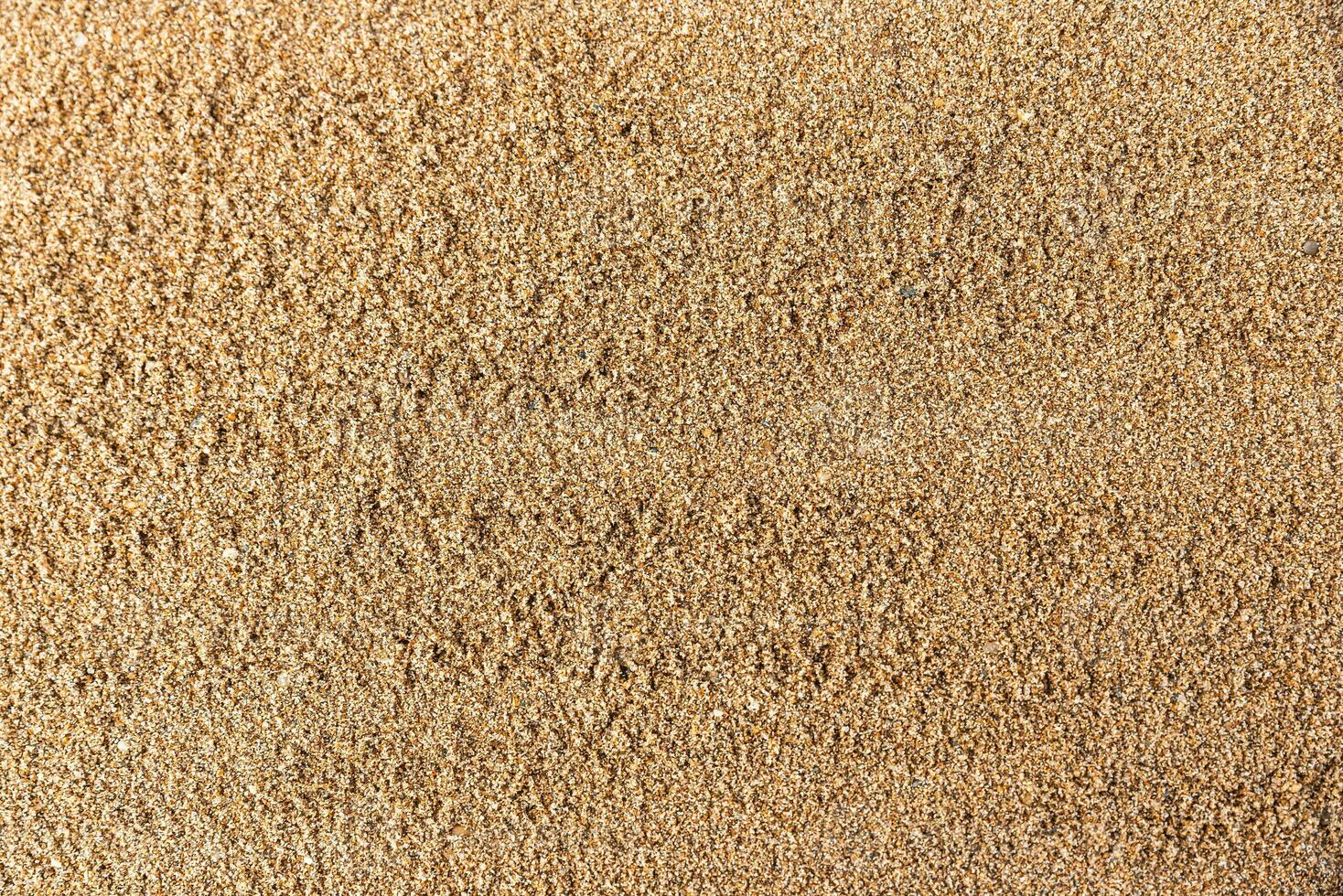 Beautiful wet sand background photo