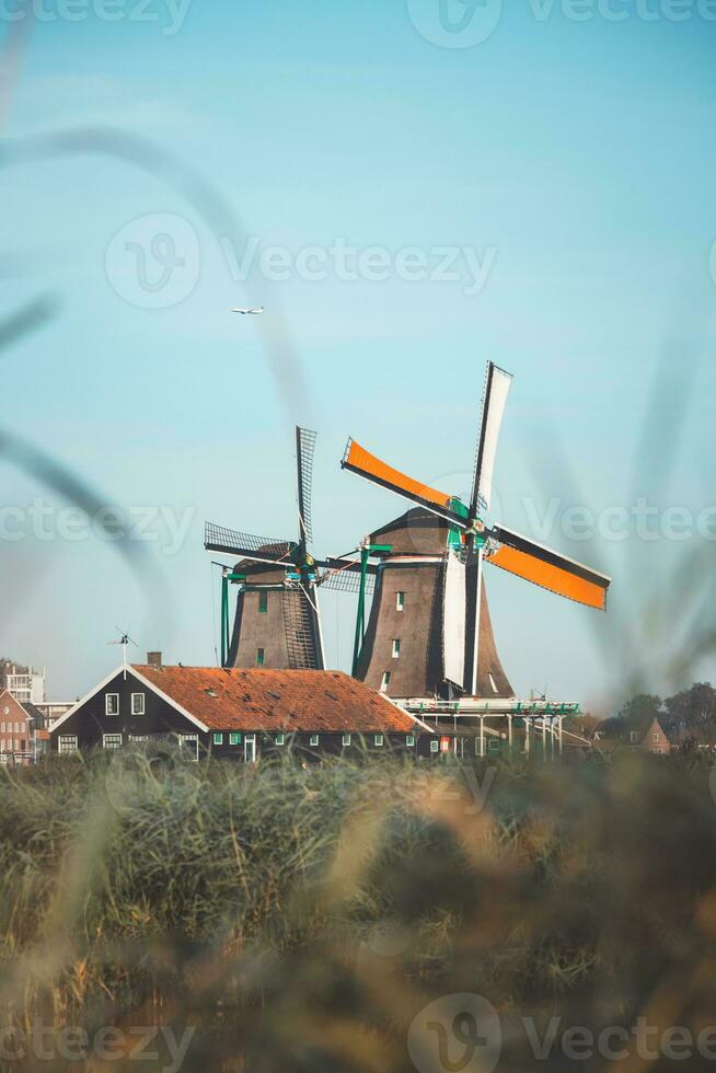 Popular tourist spot Zaanse Schans is near Amsterdam in the west of the Netherlands. Historical, realistic windmills during sunrise. Holland's landmark photo