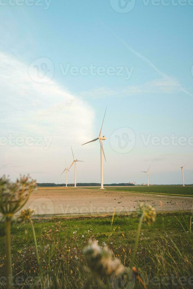 Wind power to boost sustainability and green energy in the Netherlands. Turning wind into energy. Amsterdam, Netherlands photo