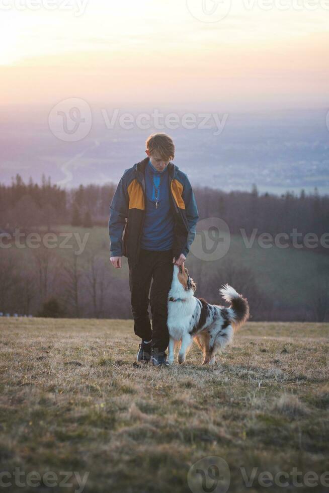 Young cynologist, a dog trainer trains a four-legged pet Australian Shepherd in basic commands using treats. Love between dog and human photo