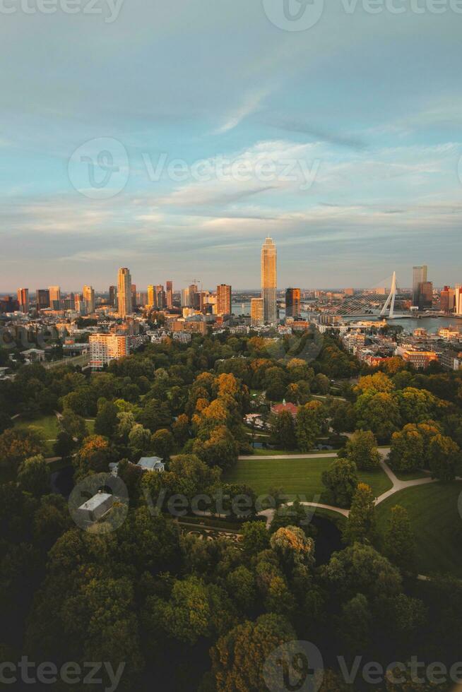 puesta de sol terminado Rotterdam ciudad centrar y sus rodeando parque. puesta de sol en uno de el más moderno ciudades en el Países Bajos foto