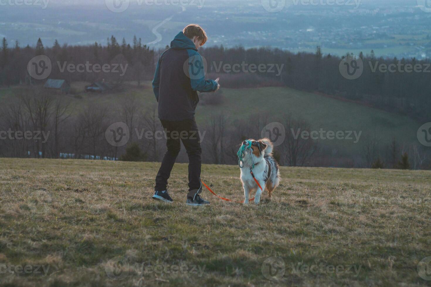 Young cynologist, a dog trainer trains a four-legged pet Australian Shepherd in basic commands using treats. Love between dog and human photo