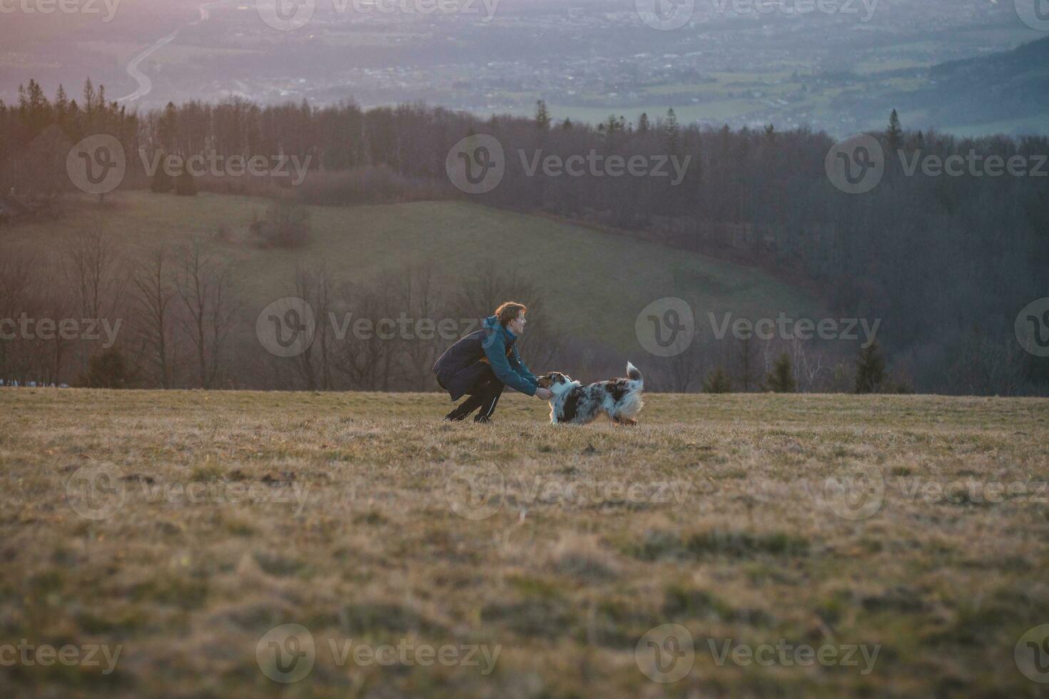 Young cynologist, a dog trainer trains a four-legged pet Australian Shepherd in basic commands using treats. Love between dog and human photo
