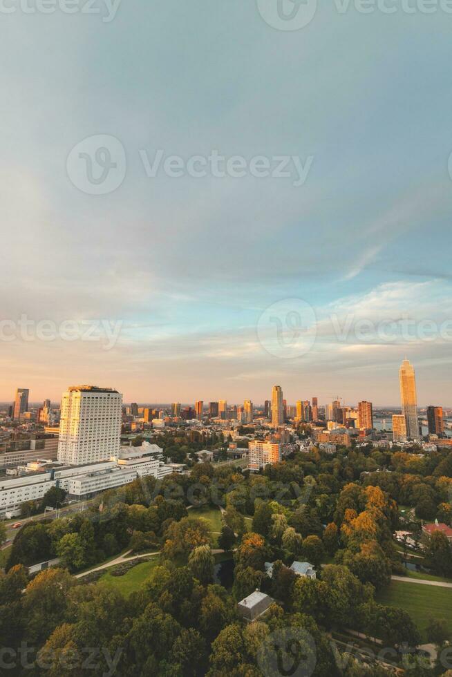 Sunset over Rotterdam city centre and its surrounding park. Sunset in one of the most modern cities in the Netherlands photo