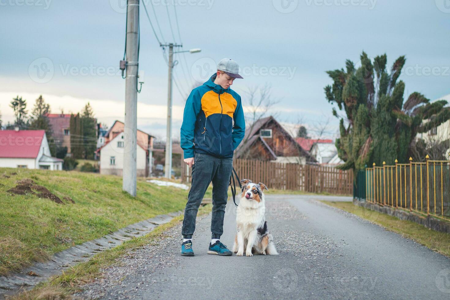 Young cynologist, a dog trainer trains a four-legged pet Australian Shepherd in basic commands using treats. Love between dog and human. Cuteness photo