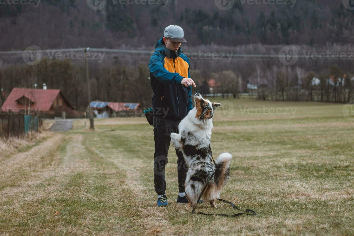 Young cynologist, a dog trainer trains a four-legged pet Australian Shepherd in basic commands using treats. Love between dog and human. Cuteness photo