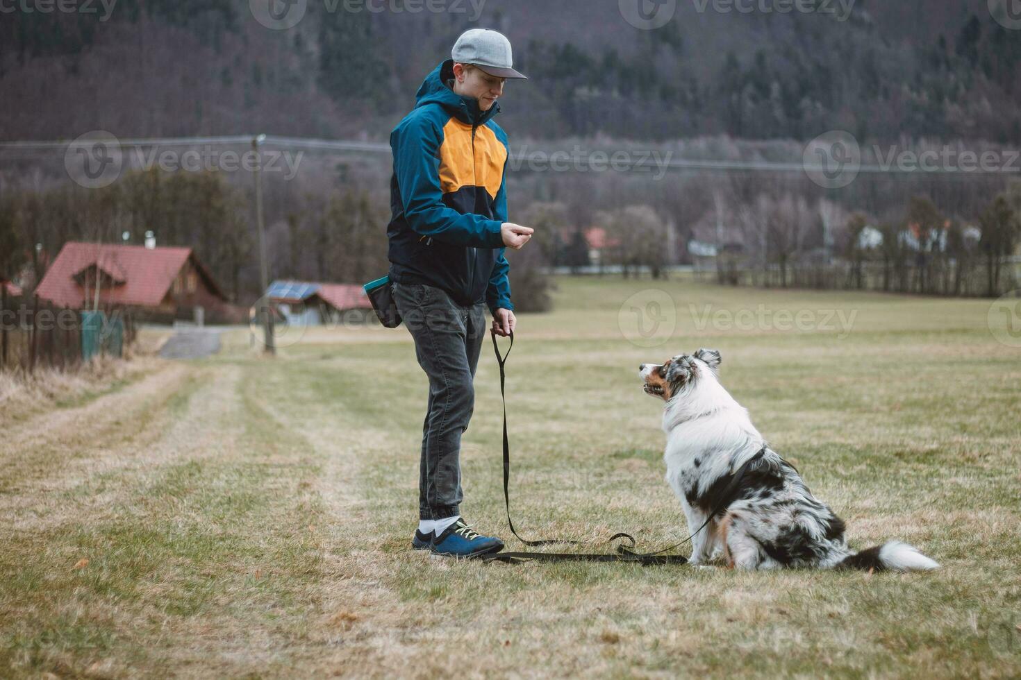 Young cynologist, a dog trainer trains a four-legged pet Australian Shepherd in basic commands using treats. Love between dog and human. Cuteness photo