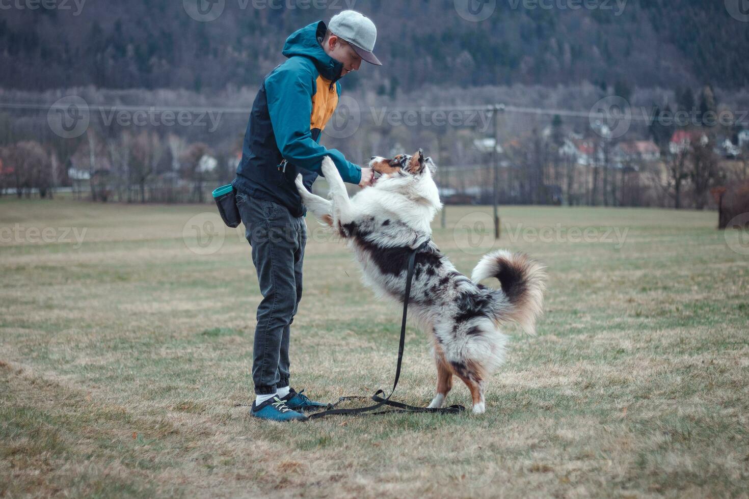 Young cynologist, a dog trainer trains a four-legged pet Australian Shepherd in basic commands using treats. Love between dog and human photo