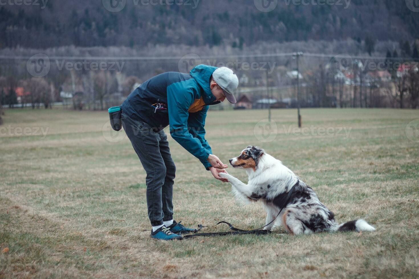 Young cynologist, a dog trainer trains a four-legged pet Australian Shepherd in basic commands using treats. Love between dog and human photo