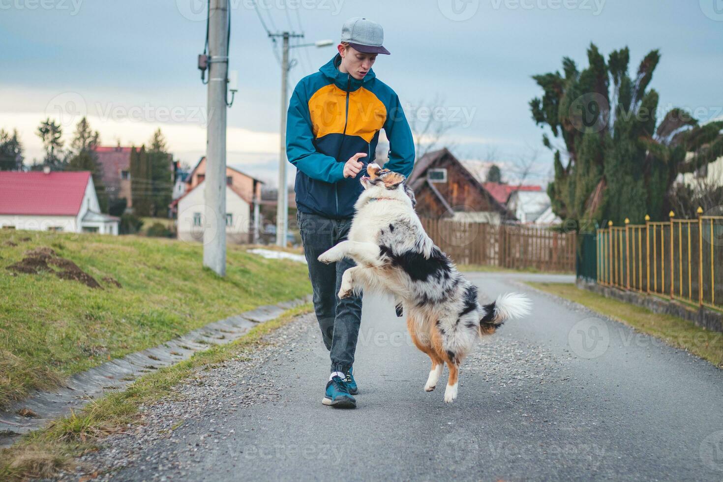 Young cynologist, a dog trainer trains a four-legged pet Australian Shepherd in basic commands using treats. Love between dog and human. Cuteness photo