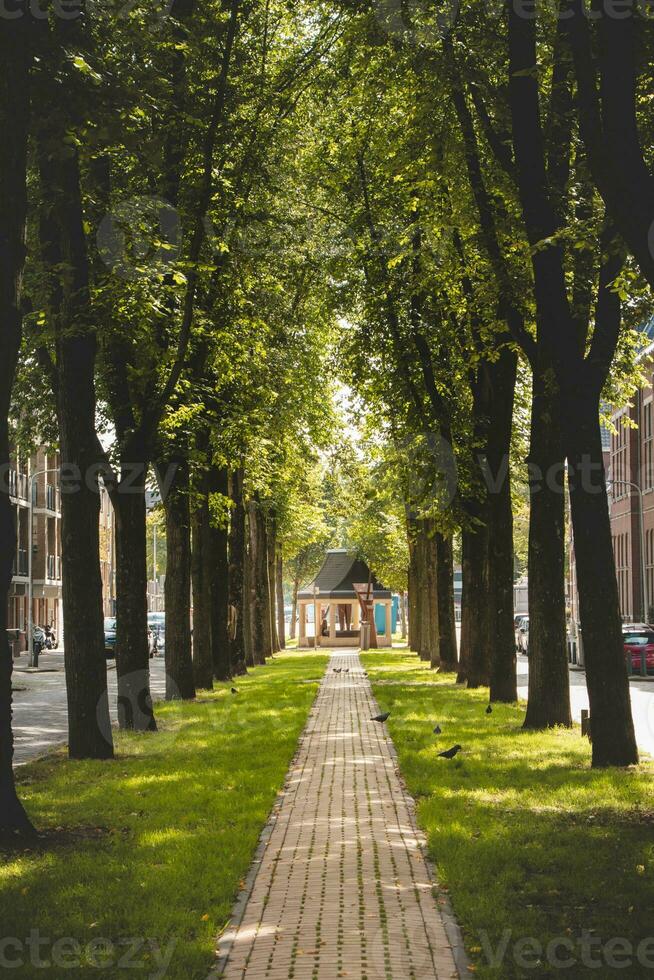 Walk through an alley to a gazebo to relax after work in Den Haag, Netherlands photo