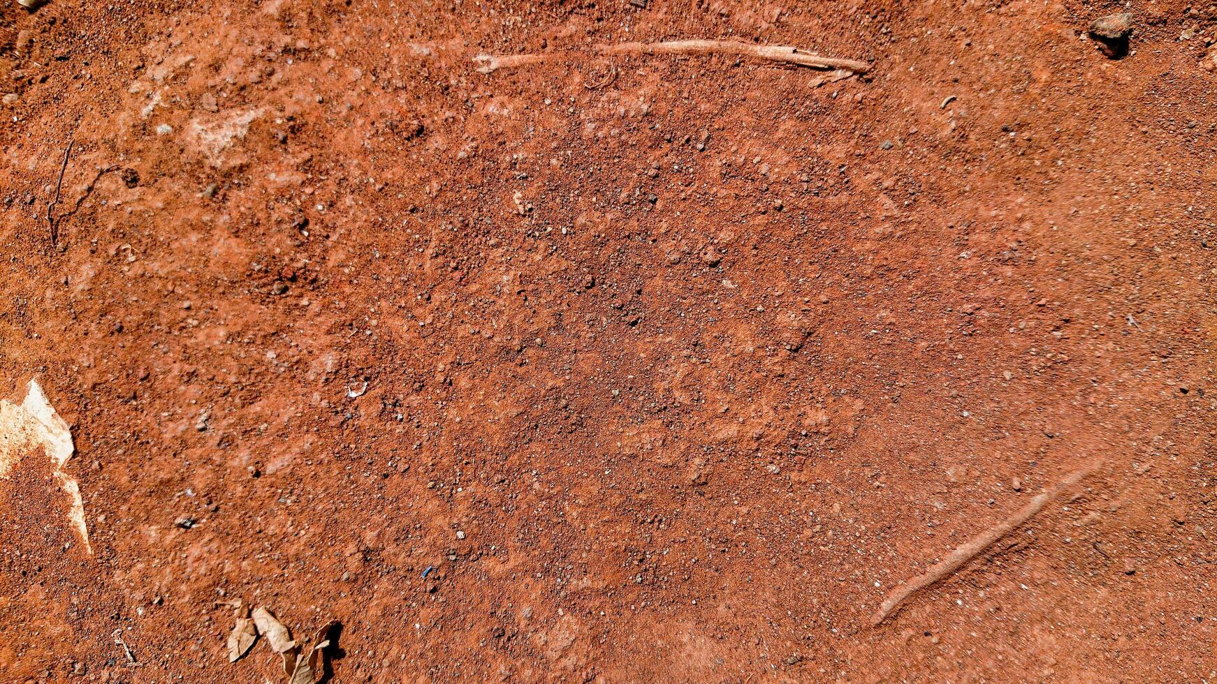 dry brown soil in the garden photo