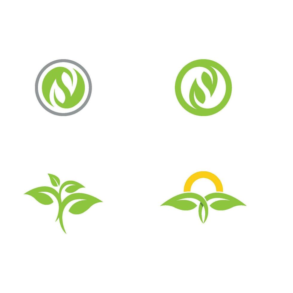 Logos of green Tree leaf ecology vector