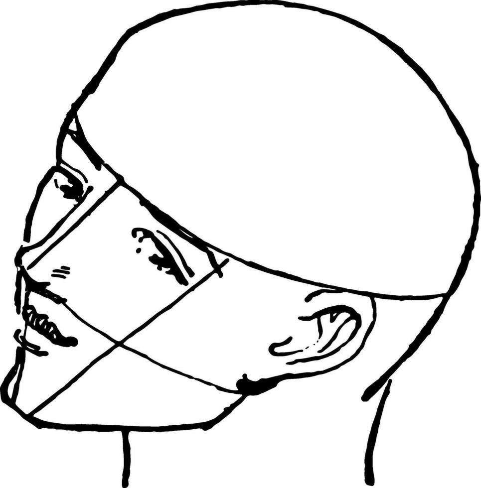 lado perfil de un masculino cara Clásico grabado. vector