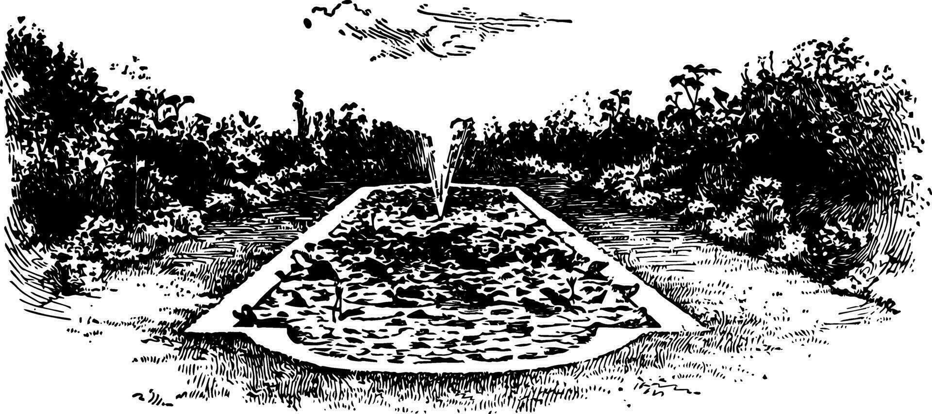 Lawn Pond of Aquatics, ornamental ,  vintage engraving. vector