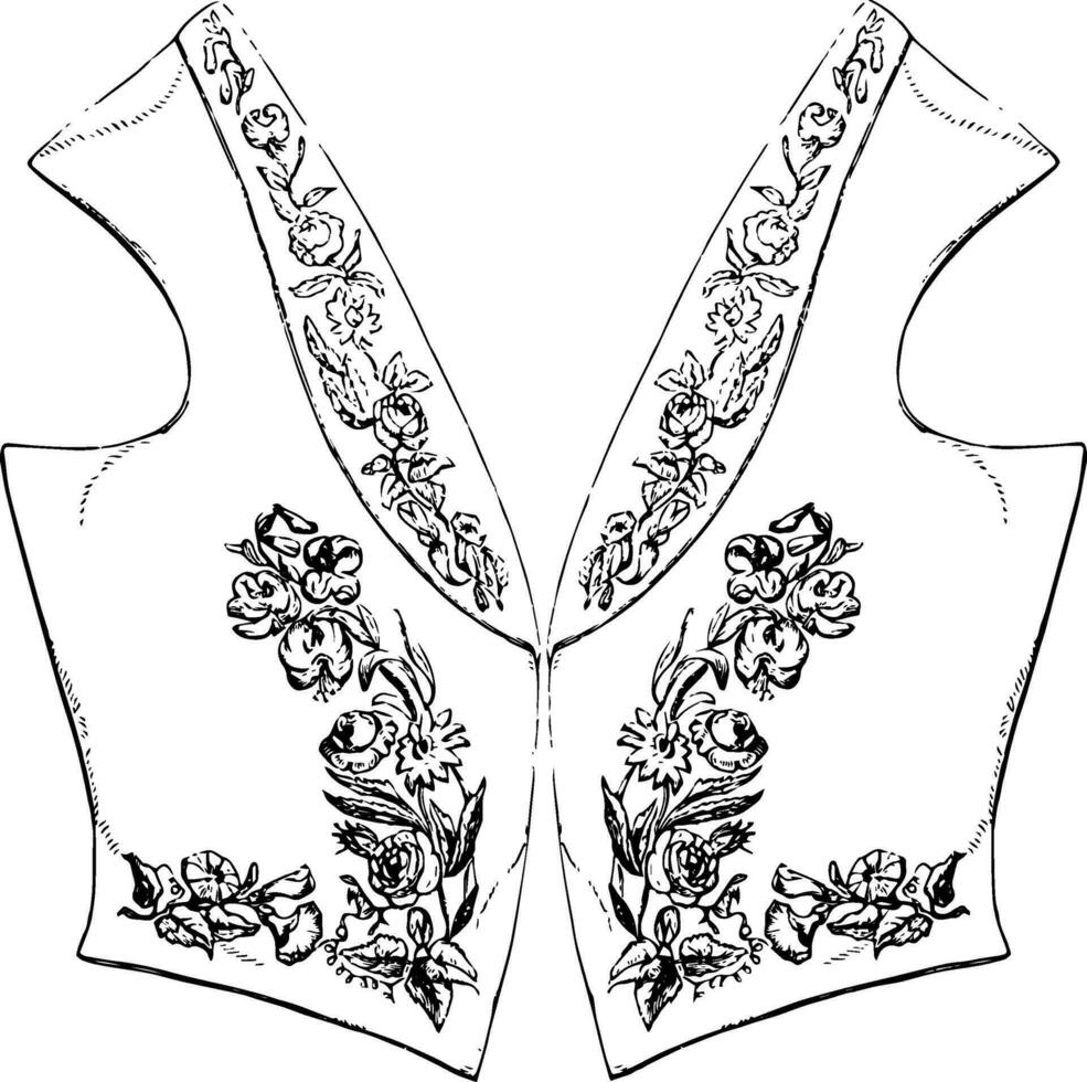 sleeveless upper body garment, vintage engraving. vector