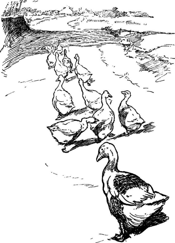 Flock of Geese, vintage illustration. vector