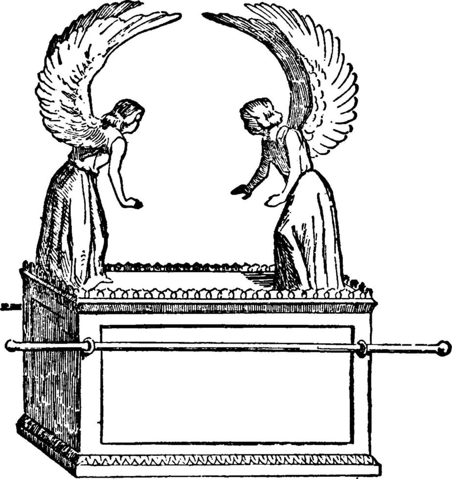 ilustración vintage del arca. vector