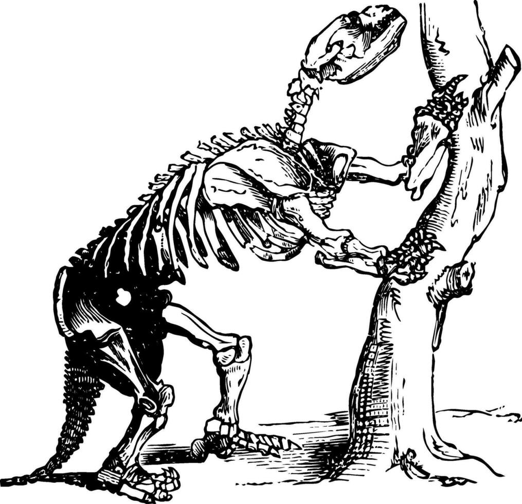 milodón, Clásico ilustración. 35366118 Vector en Vecteezy