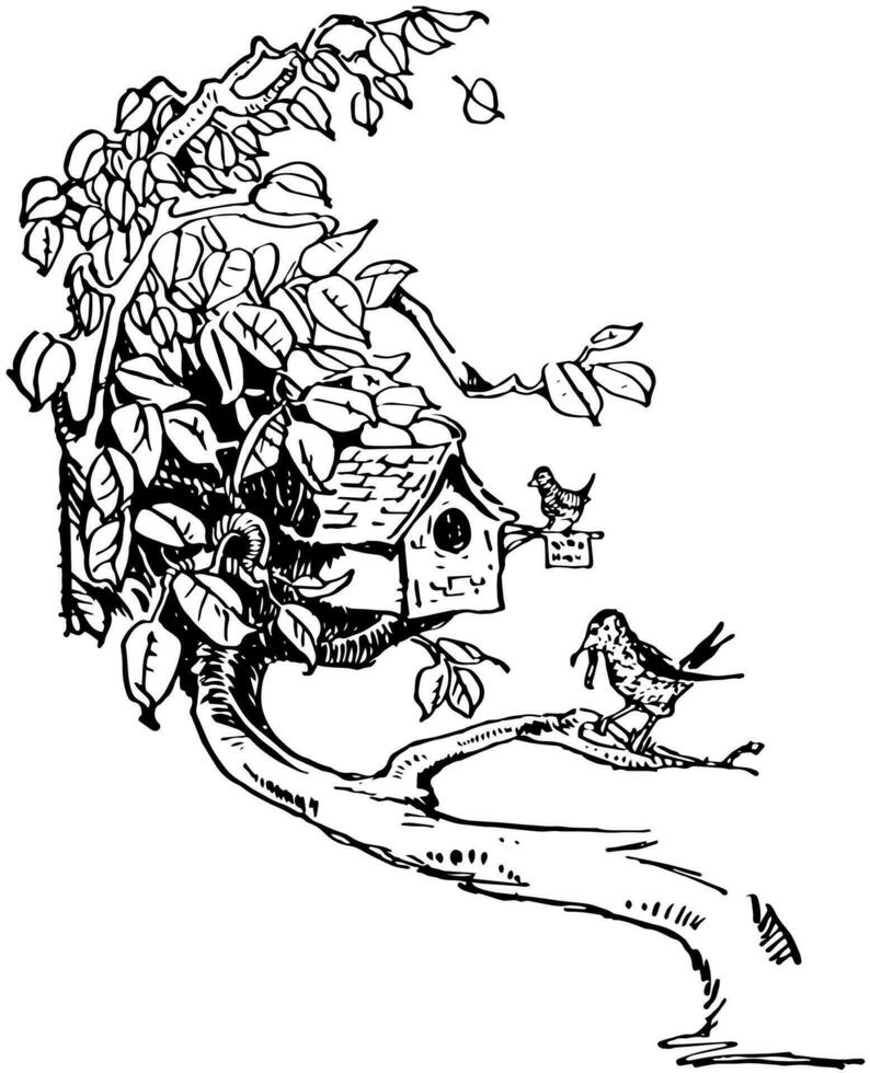 Birdhouse in Tree Limb, vintage illustration. vector