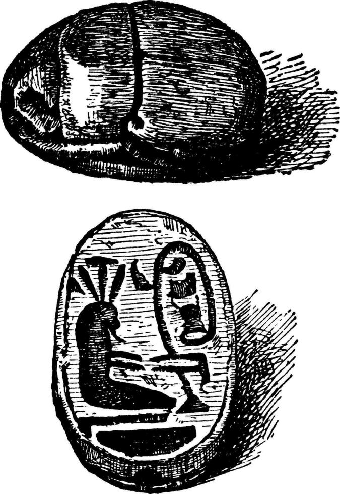 escarabajo es un tallado pedazo de Roca usado como un amuleto, Clásico grabado. vector