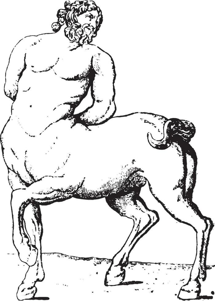 Centaur, vintage engraving. vector