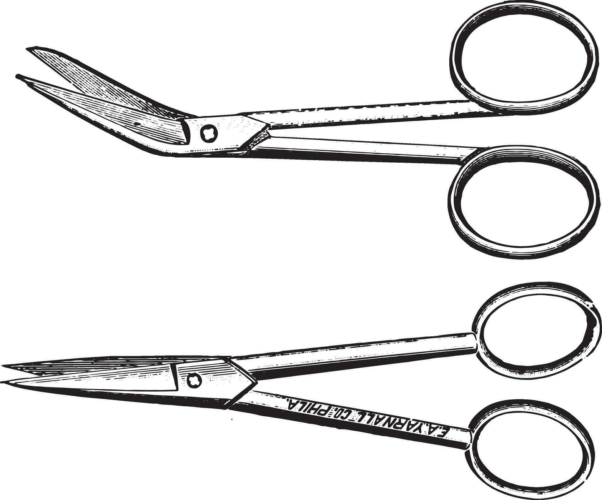 Scissors, vintage engraving. 35366535 Vector Art at Vecteezy