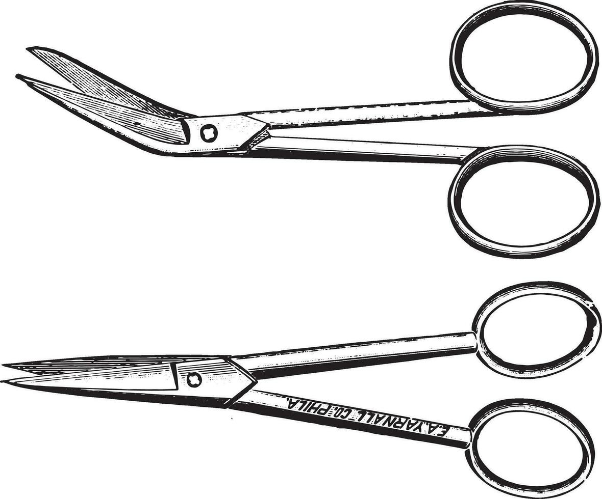 Scissors, vintage engraving. vector