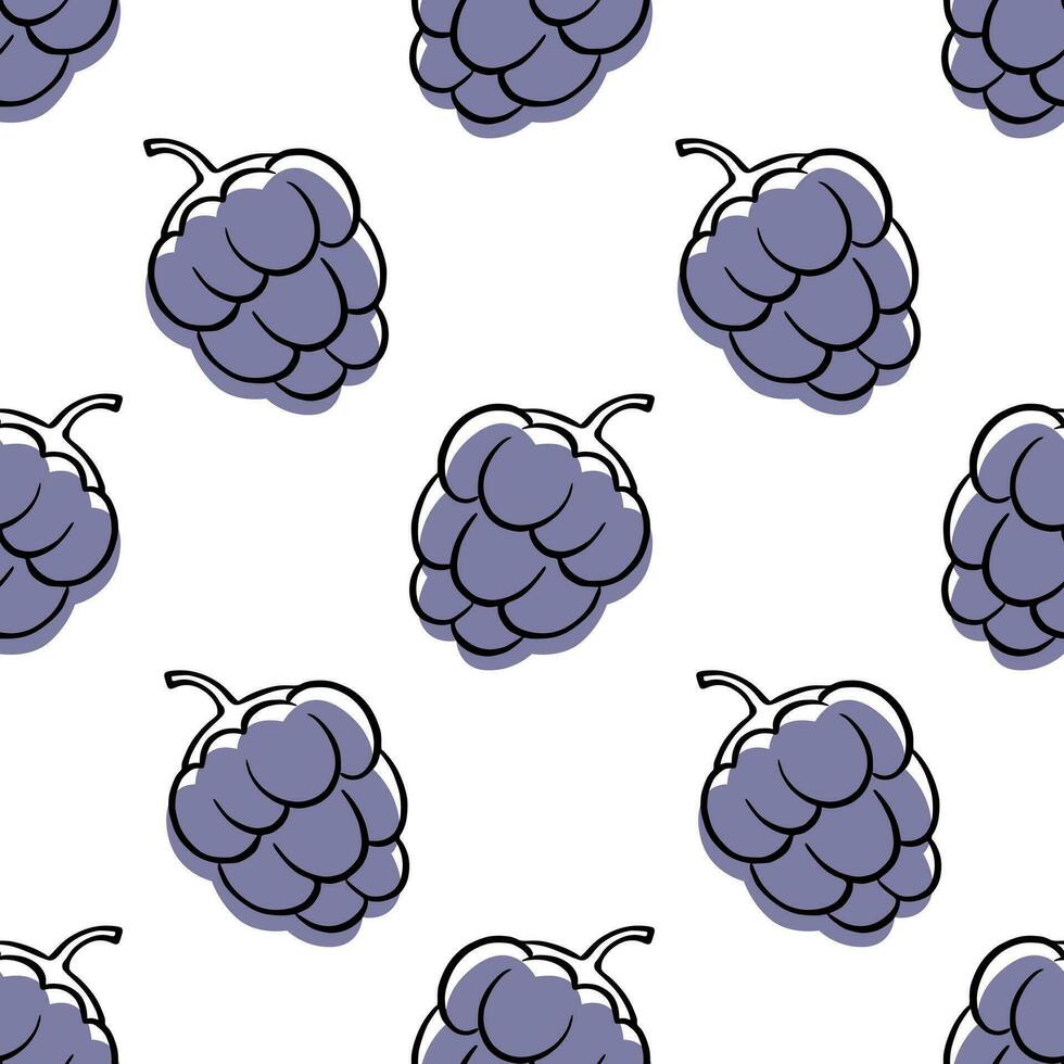 Blackberry seamless pattern vector