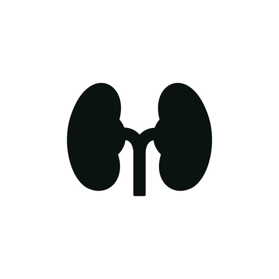 Kidney icon isolated on white background vector
