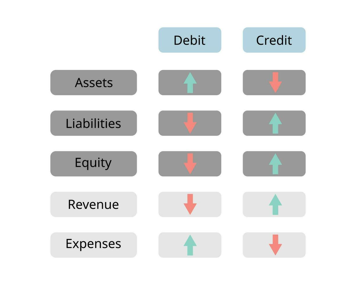 Debit and credit for account categories to increase or decrease amount for assets, expenses, liability, equity and revenue accounts vector