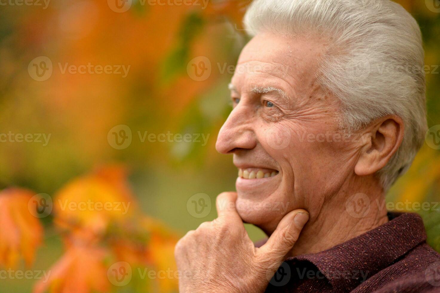 Closeup portrait of smiling senior man in park photo