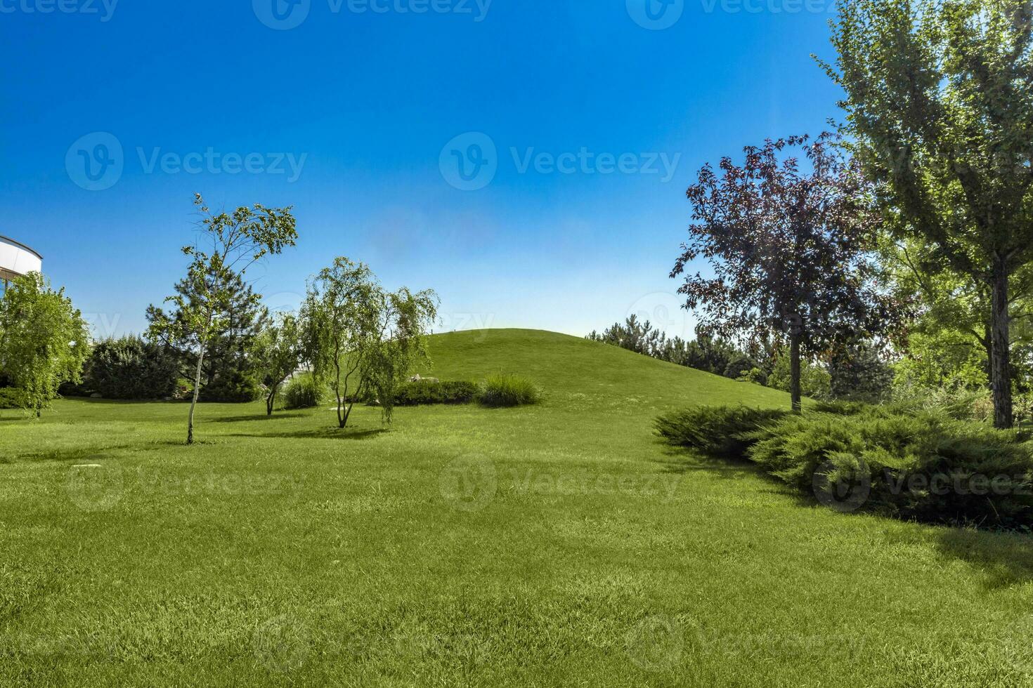 verde paisaje modelado con recortado césped, colina y arboles en verano foto