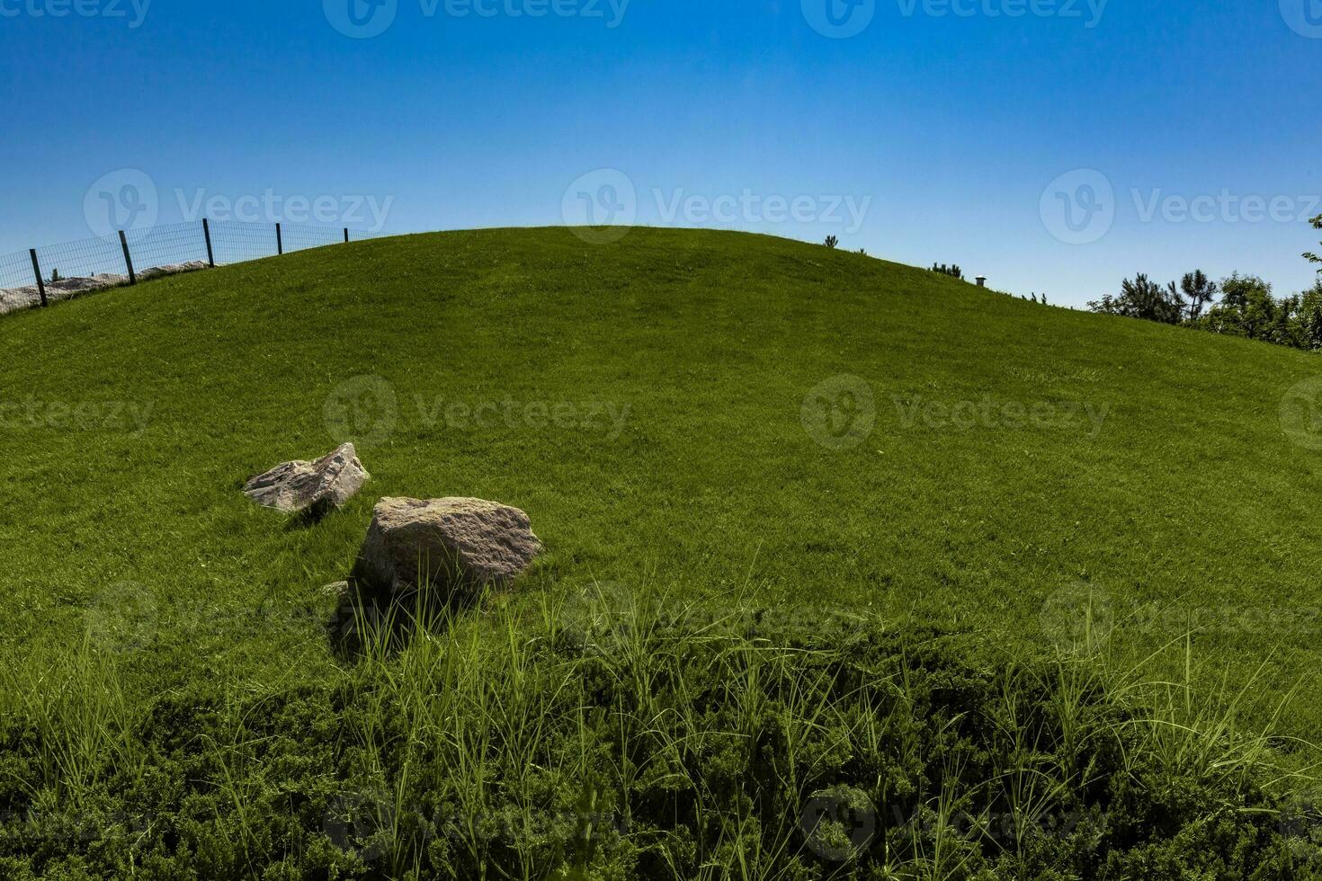 Summer landscape with green grass on hillside on blue sky background photo