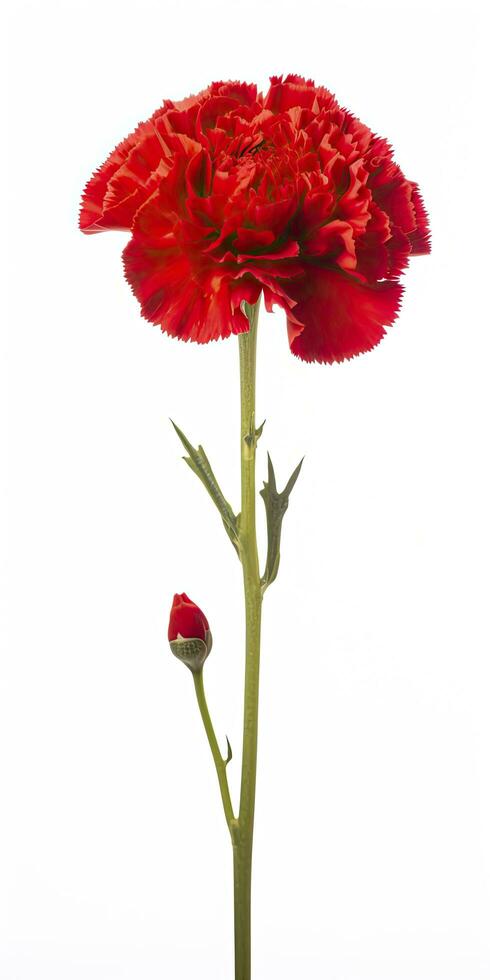 AI generated Red Rose Background for Valentine's Day. AI Generated photo