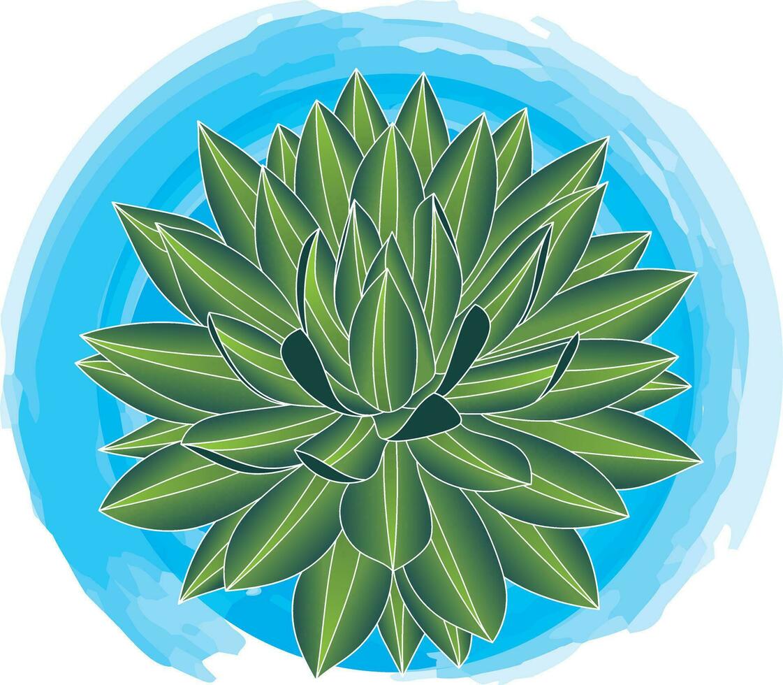 Illustration of cactus plant on blue circle background. vector