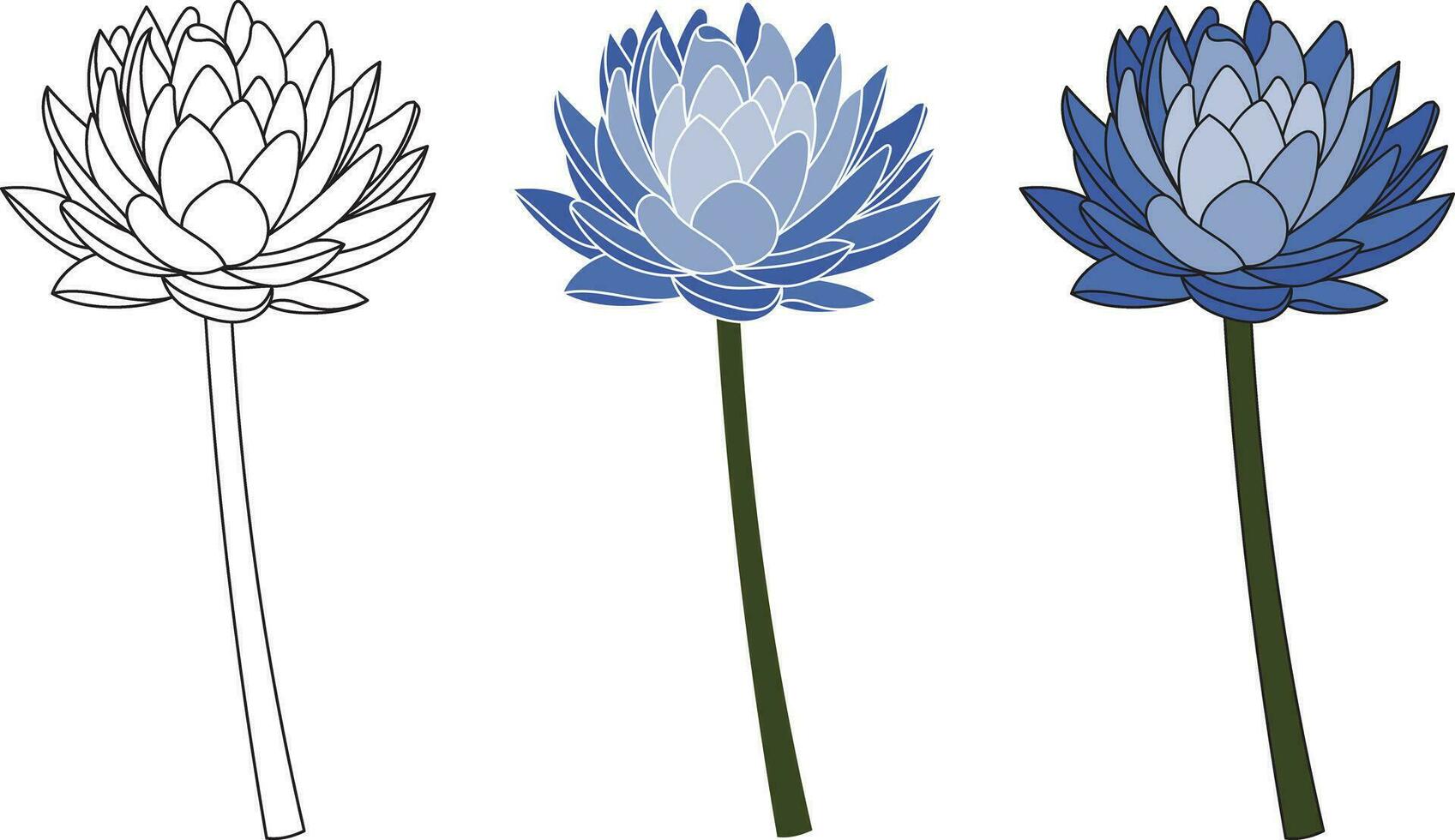 Illustration outline lotus flower and lotus with blue color on empty background. vector