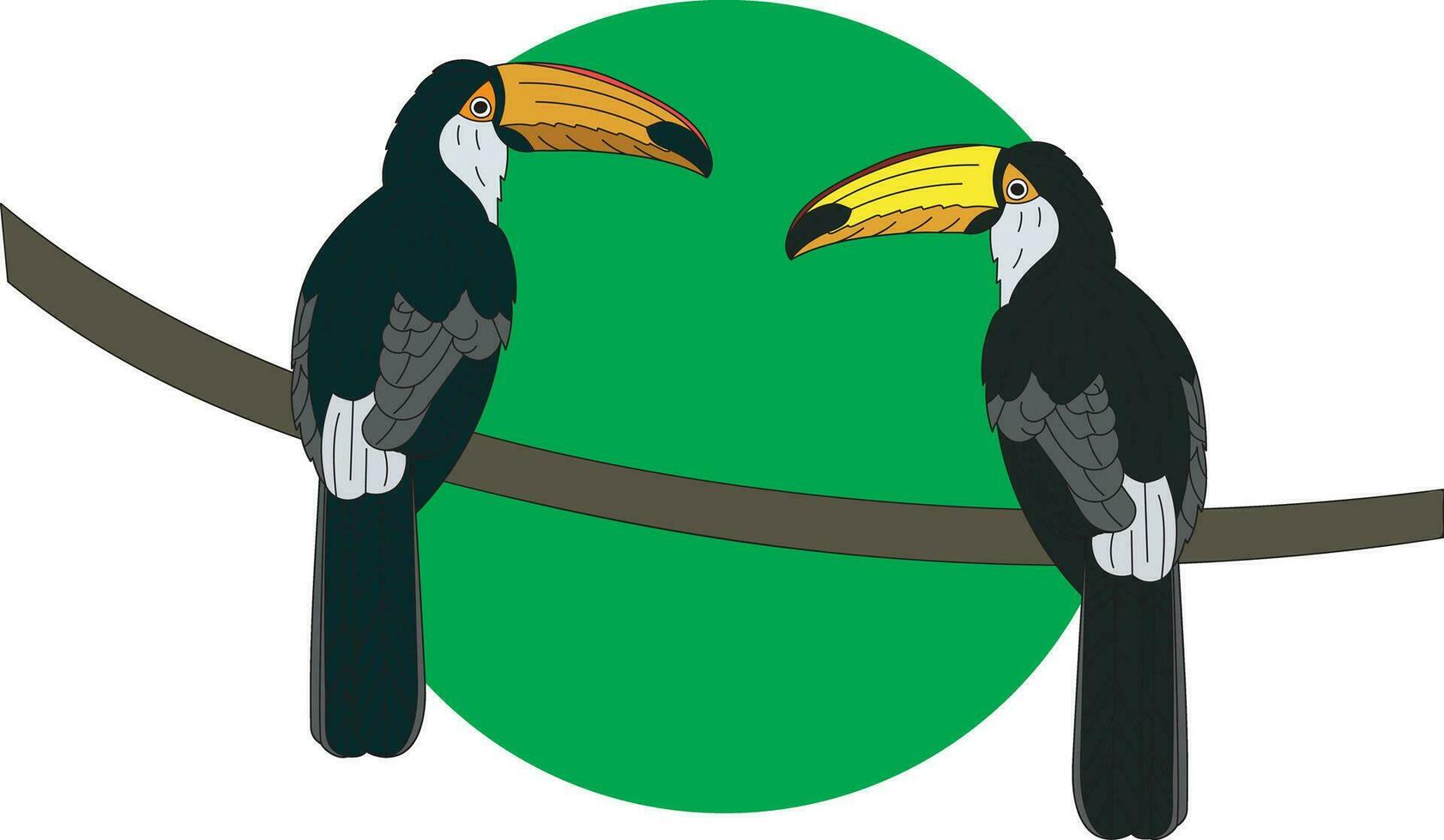 Illustration of two hornbill bird on branch with green circle background. vector