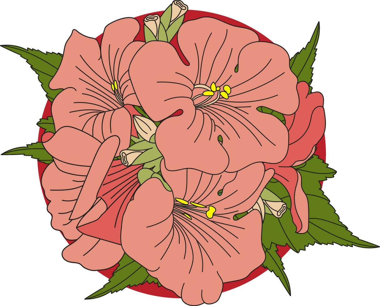 ilustración de chino trompeta vino flor con hojas en rojo circulo antecedentes. vector