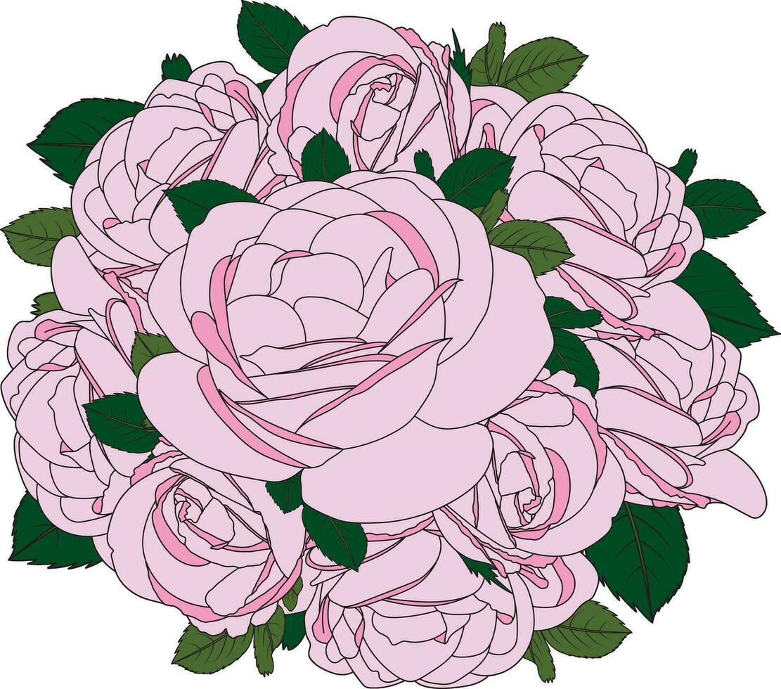 Illustration bouquet of pink rose flower with leaves. vector